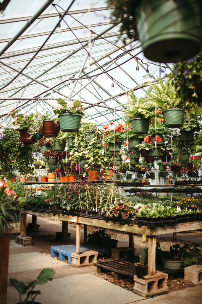 florist in green bay wi